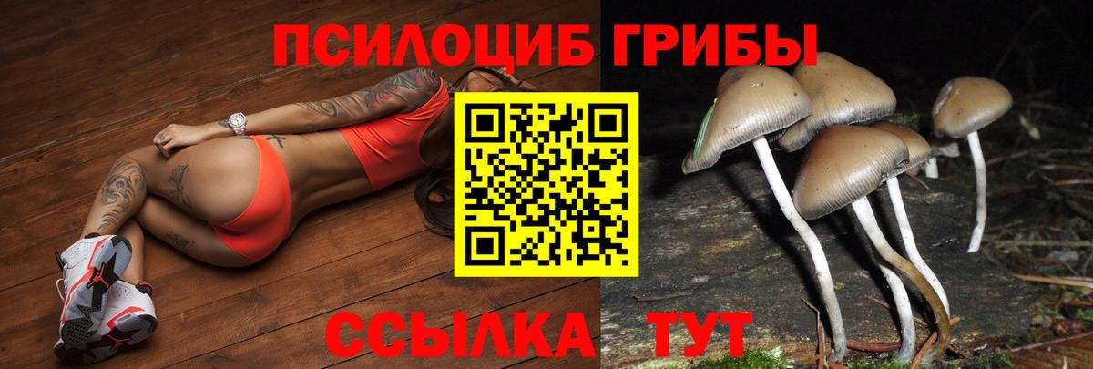 Воркута  где купить   Вход с VPN  Галлюциногенные грибы MAGIC MUSHROOMS 