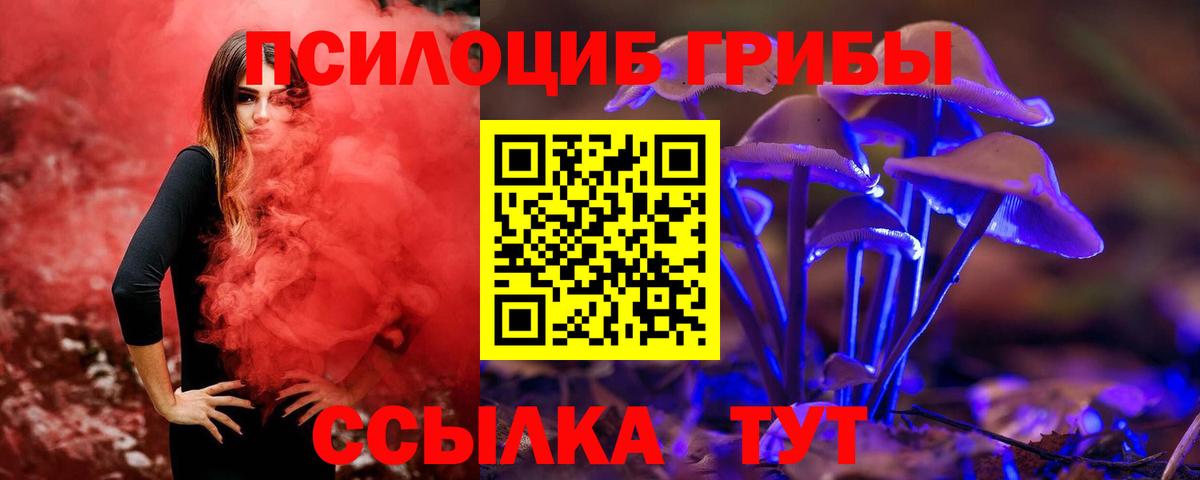 Галлюциногенные грибы мухоморы Воркута